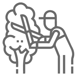 Tree Trimming & Pruning